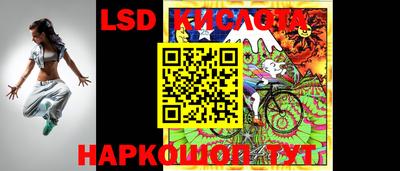 прущие грибы Канаш