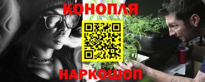 прущие грибы Канаш