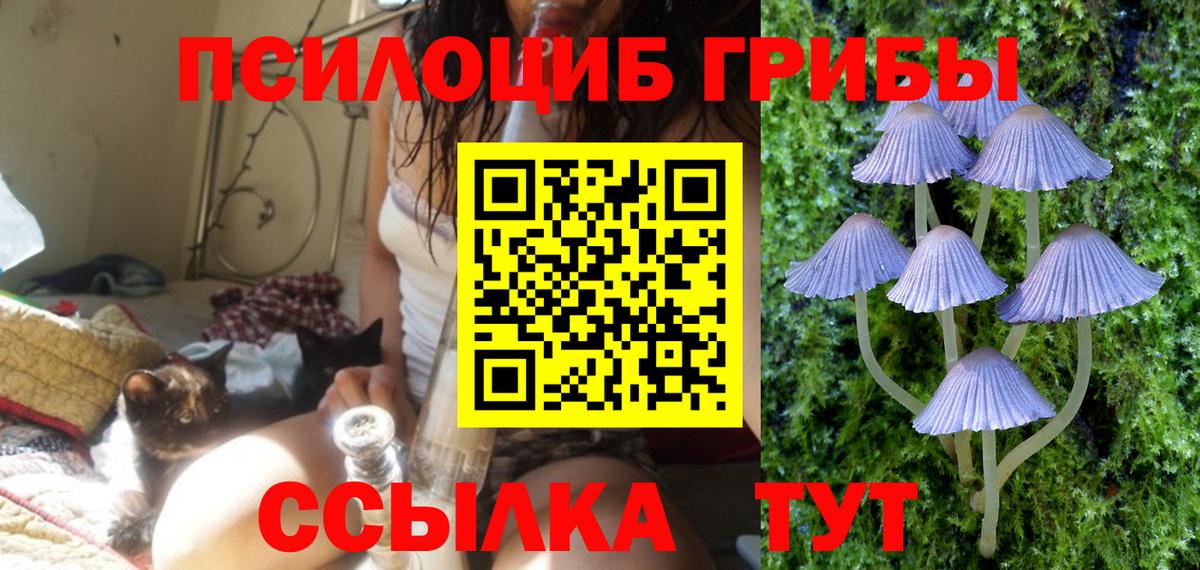 Красноуфимск  Галлюциногенные грибы Psilocybine cubensis  купить  цена  Вход с VPN 