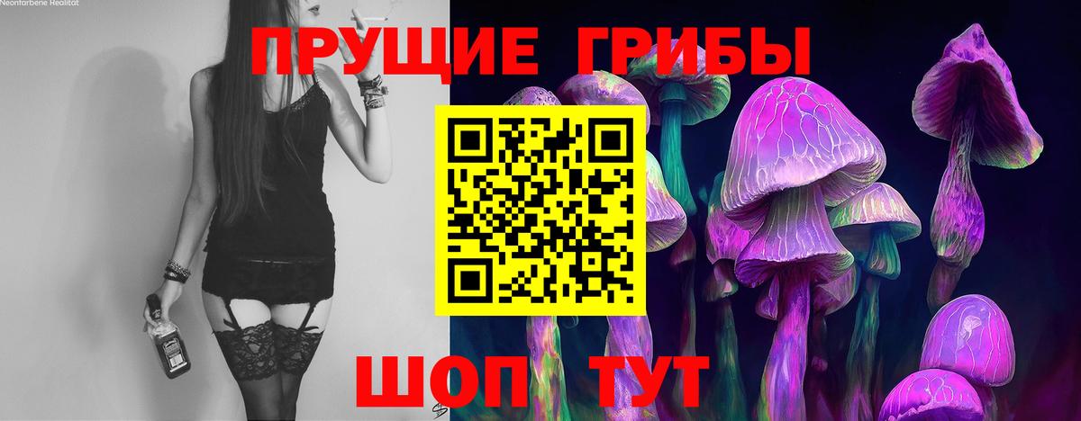 Псилоцибиновые грибы Psilocybe Красноуфимск